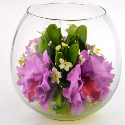 Orquideas Violetas